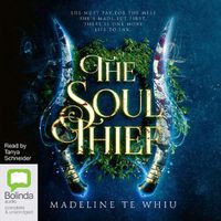 Cover image for The Soul Thief