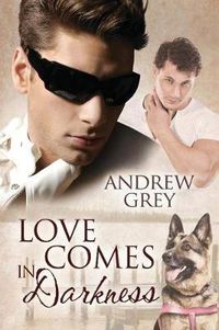 Cover image for Love Comes in Darkness