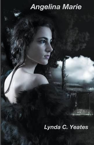 Cover image for Angelina Marie