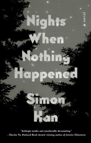 Cover image for Nights When Nothing Happened: A Novel