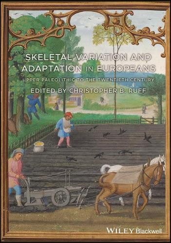 Cover image for Skeletal Variation and Adaptation in Europeans - Upper Paleolithic to the Twentieth Century