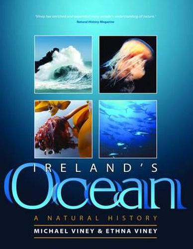 Cover image for Ireland's Ocean: A Natural History