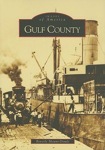 Cover image for Gulf County
