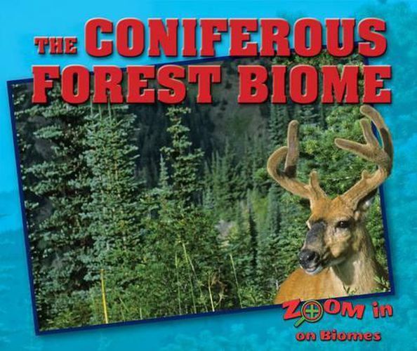 Cover image for The Coniferous Forest Biome