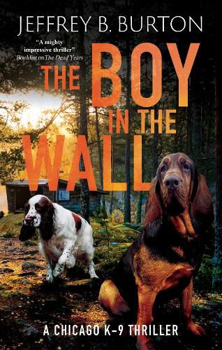 Cover image for The Boy in the Wall