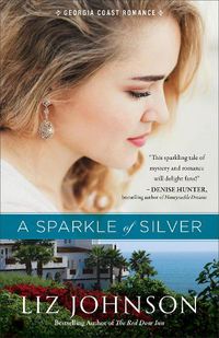 Cover image for Sparkle of Silver, A