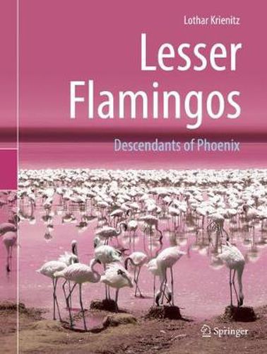 Cover image for Lesser Flamingos: Descendants of Phoenix