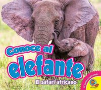 Cover image for Conoce Al Elefante