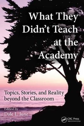 Cover image for What They Didn't Teach at the Academy: Topics, Stories, and Reality beyond the Classroom