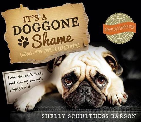 Cover image for It's a Doggone Shame: Curious Canine Crimes and Catastrophes