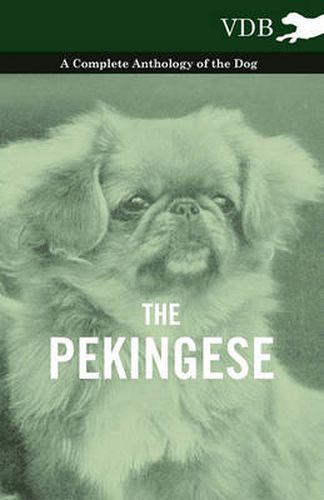 Cover image for The Pekingese - A Complete Anthology of the Dog