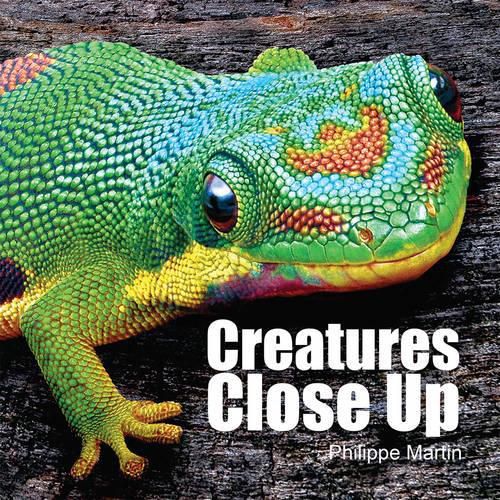 Cover image for Creatures Close Up