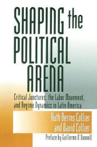 Cover image for Shaping the Political Arena