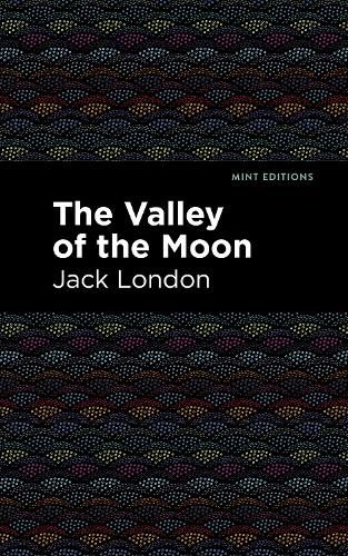 Cover image for The Valley of the Moon