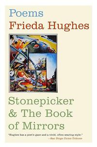 Cover image for Stonepicker & the Book of Mirrors