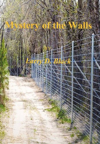 Cover image for Mystery of the Walls