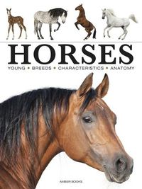 Cover image for Horses