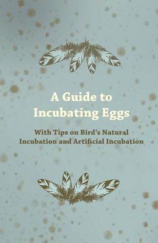 Cover image for A Guide to Incubating Eggs - With Tips on Birds Natural Incubation and Artificial Incubation