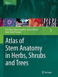 Cover image for Atlas of Stem Anatomy in Herbs, Shrubs and Trees: Volume 1