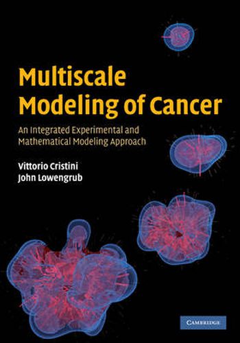 Cover image for Multiscale Modeling of Cancer: An Integrated Experimental and Mathematical Modeling Approach