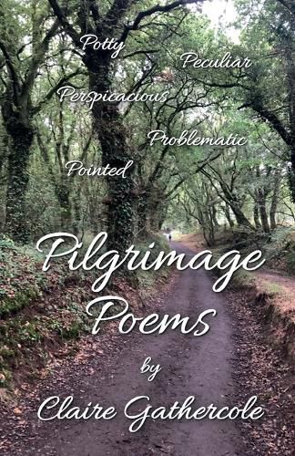Cover image for Pilgrimage Poems