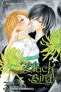 Cover image for Black Bird, Vol. 3