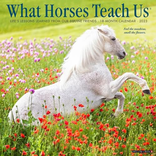Cover image for What Horses Teach Us 2023 Wall Calendar