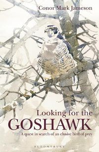 Cover image for Looking for the Goshawk