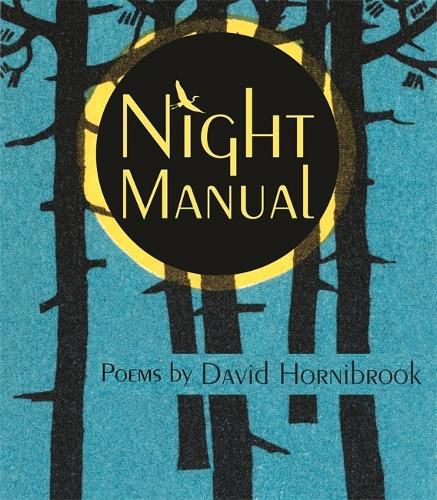 Cover image for Night Manual