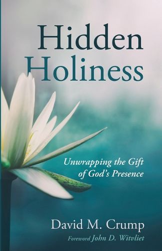 Cover image for Hidden Holiness