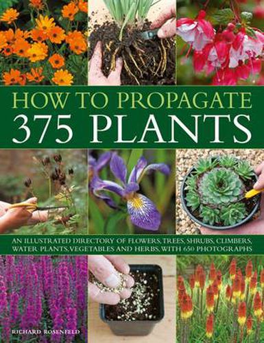 How to Propagate 375 Plants