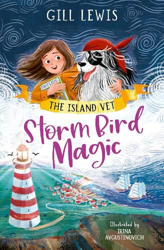Cover image for Storm Bird Magic