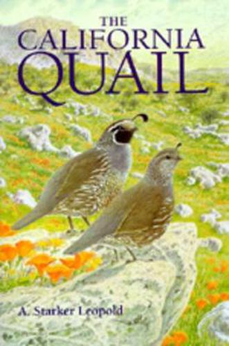 Cover image for The California Quail