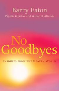 Cover image for No Goodbyes: Insights From the Heaven World