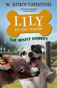 Cover image for Lily to the Rescue: The Misfit Donkey