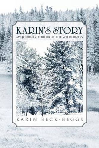 Cover image for Karin's Story