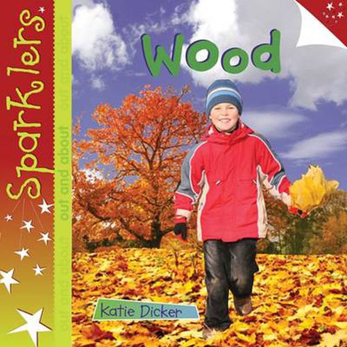 Cover image for Wood: Sparklers - Out and About