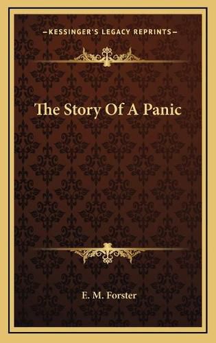 Cover image for The Story of a Panic