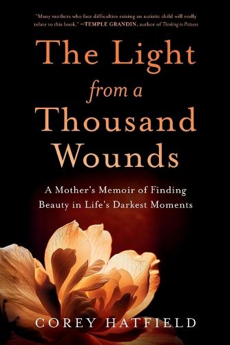 Cover image for The Light from a Thousand Wounds