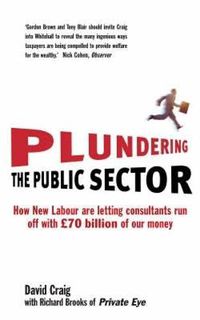 Cover image for Plundering the Public Sector: How New Labour are Letting Consultants run off with GBP70 billion of our Money