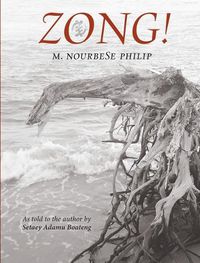 Cover image for Zong|