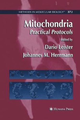 Cover image for Mitochondria: Practical Protocols