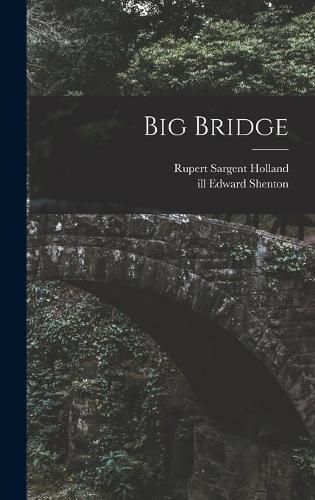 Cover image for Big Bridge