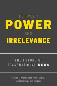 Cover image for Between Power and Irrelevance: The Future of Transnational NGOs