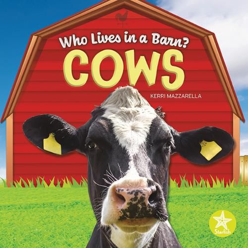 Cover image for Cows