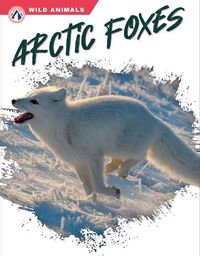 Cover image for Arctic Foxes