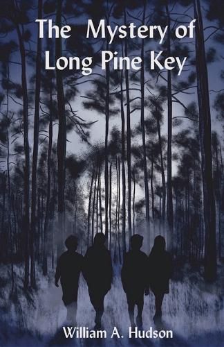 Cover image for The Mystery of Long Pine Key