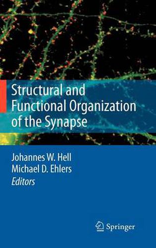 Cover image for Structural and Functional Organization of the Synapse