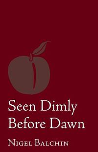 Cover image for Seen Dimly Before Dawn