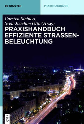 Cover image for Praxishandbuch effiziente Strassenbeleuchtung